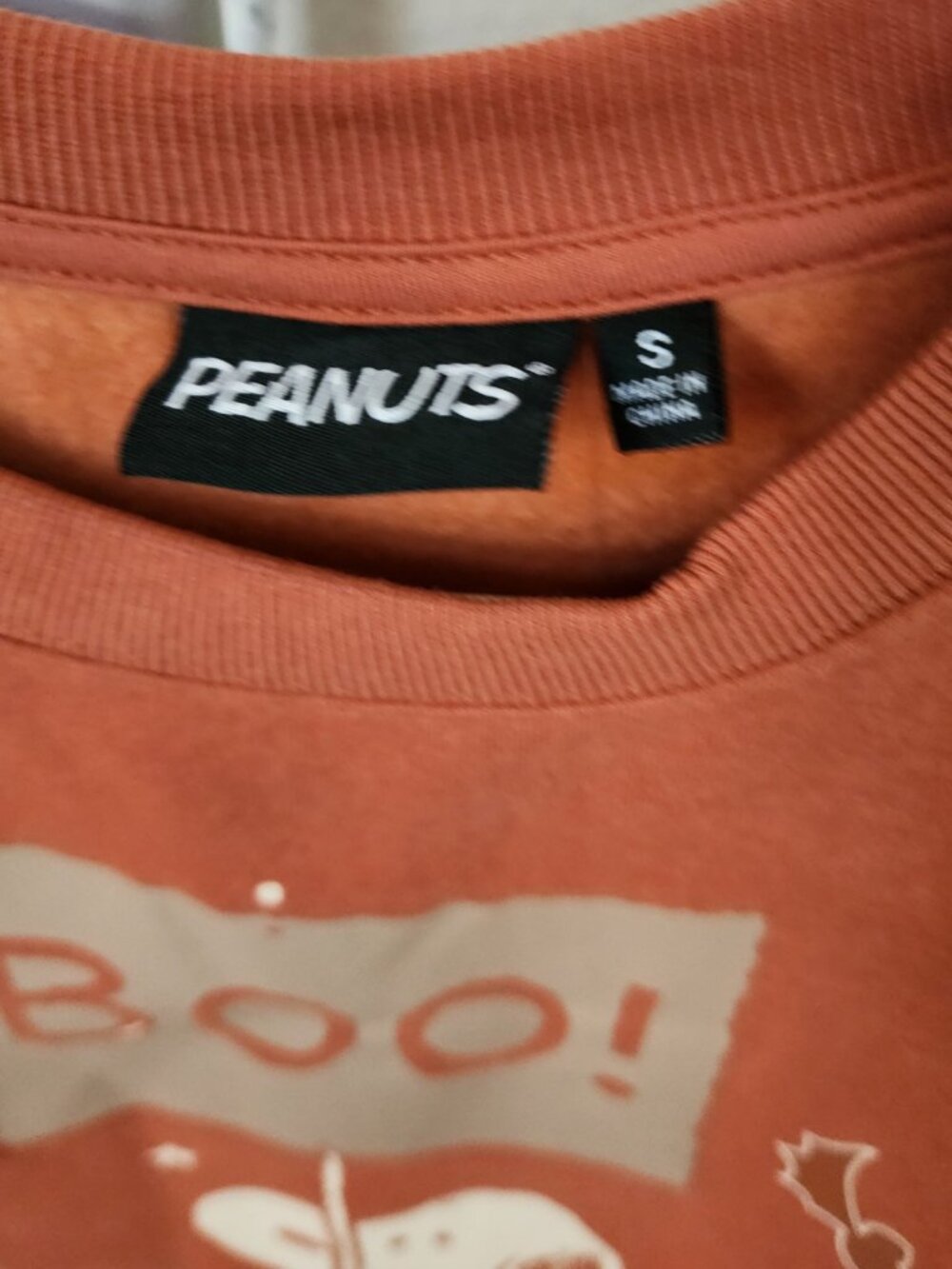 Peanuts Snoopy HALLOWEEN TRICK OR TREAT BOO Girl's or Ladies Sweatshirt Small - Picture 3 of 4